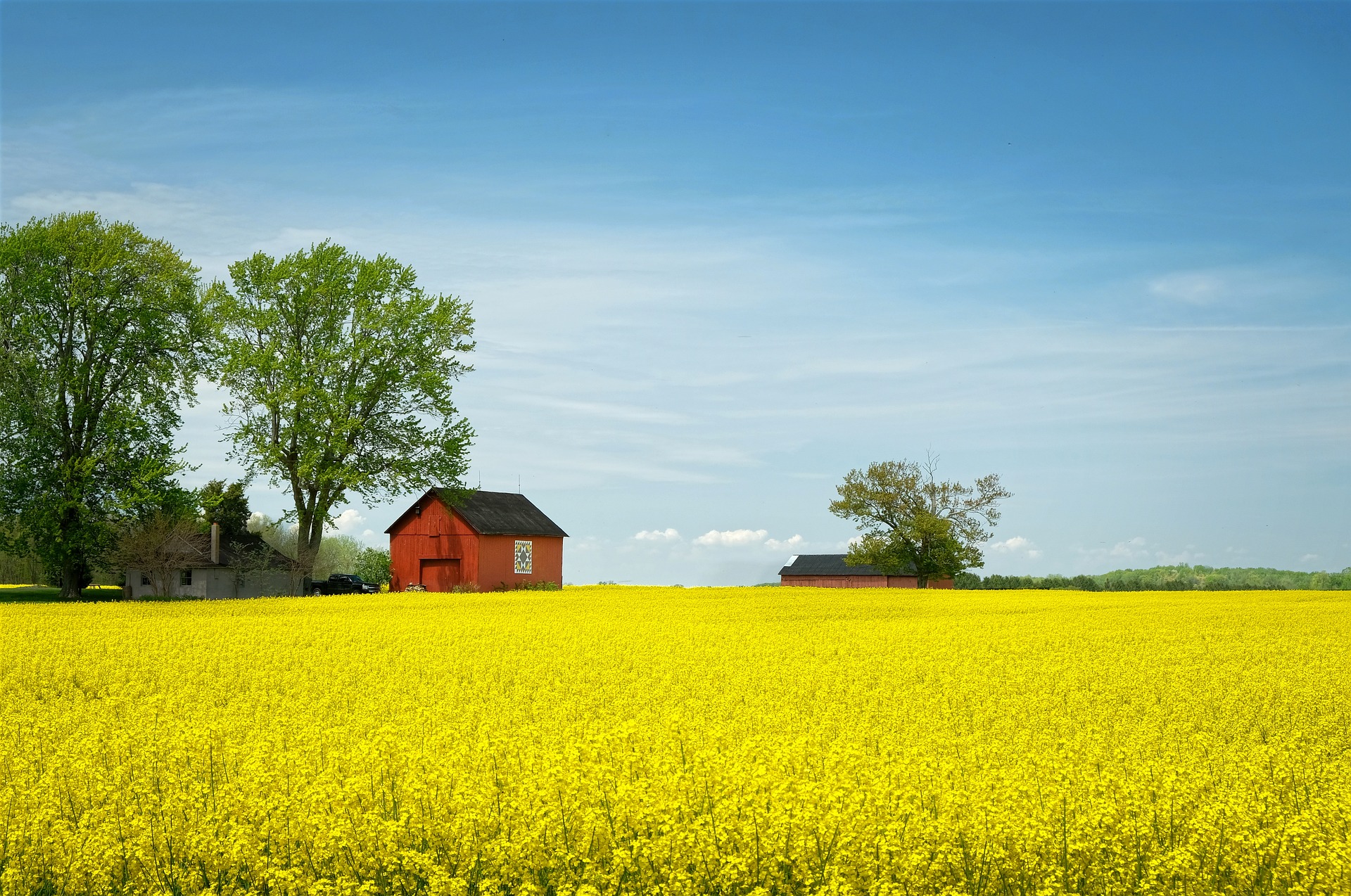 Community members collaborating