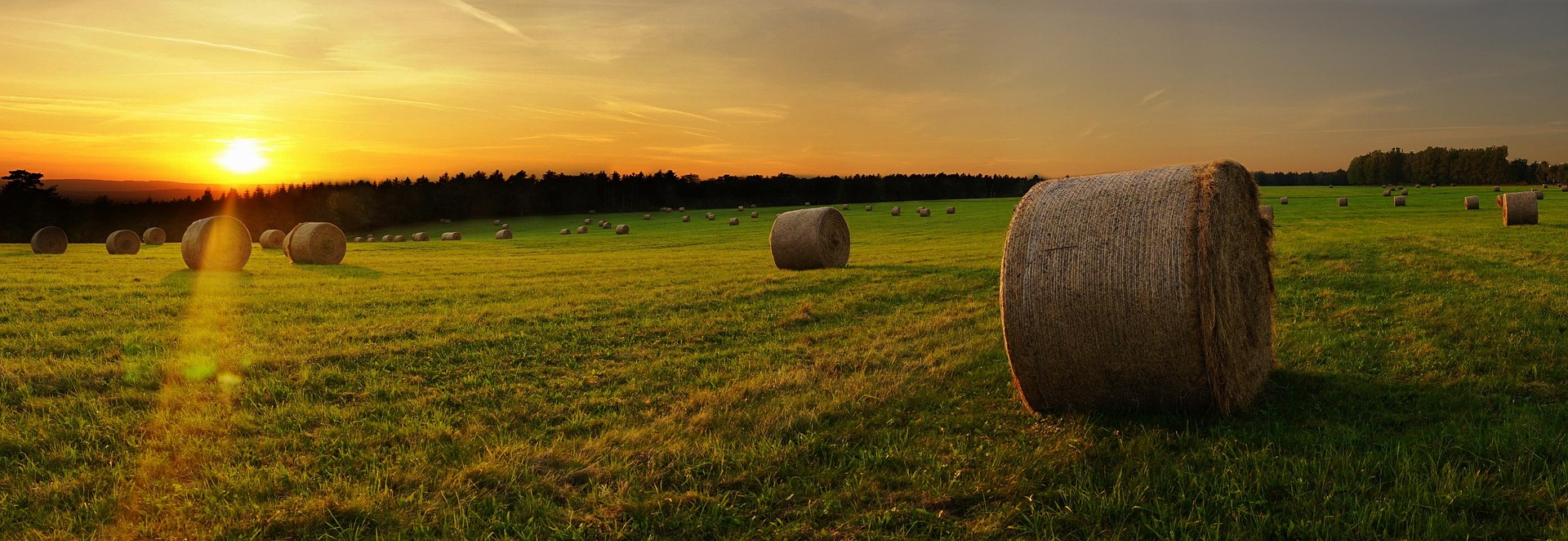 CPDA region landscape